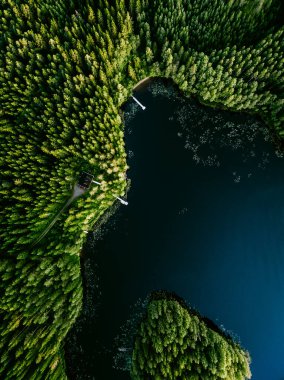 Aerial view of log cabin cottage in green summer woods by blue lake water in Finland