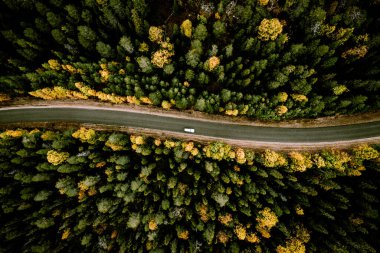 Aerial view of road through fall woods with colorful trees in Finland