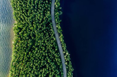 Yazın Finlandiya 'da yeşil ormanlık ve mavi göllerdeki yol manzarası