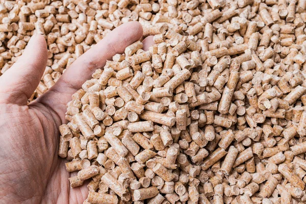 Woman Hand Full Wood Pellets Alternative Biofuel Sawdust Renewable Energy — Stock Photo, Image