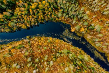 Aerial view of fast blue river flow through fall colorful trees in woods forest. Beautiful autumn landscape in FInland. Finland National park