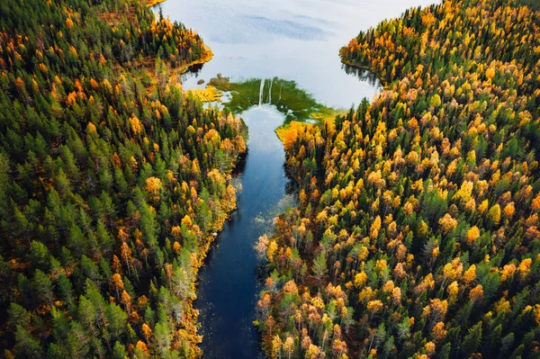 Aerial View Fast Blue River Flow Fall Colorful Trees Woods lizenzfreie Stockfotos