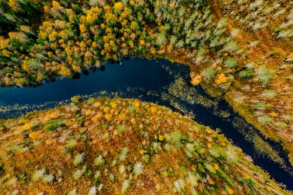 Aerial View Fast Blue River Flow Fall Colorful Trees Woods Imagen de stock