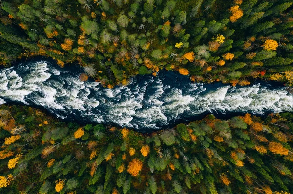 Aerial View Fast Blue River Flow Fall Colorful Trees Woods Stockfoto