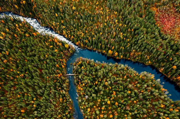Aerial View Fast Blue River Flow Fall Colorful Trees Woods lizenzfreie Stockbilder