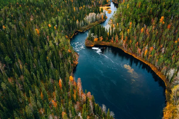 Aerial View Fast Blue River Flow Fall Colorful Trees Woods Imagen de archivo