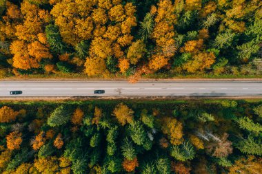 Finlandiya 'daki renkli sonbahar ormanlarında sonbahar yolu üzerindeki arabaların hava manzarası. Güzel manzara