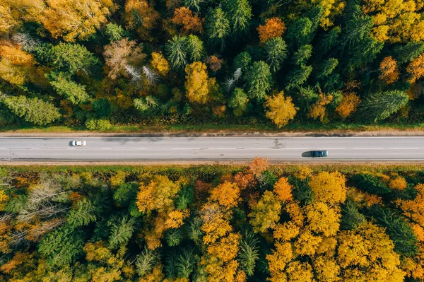 フィンランドのカラフルな秋の森で秋のカントリーロード上の自動車の空中ビュー 美しい風景 — ストック写真