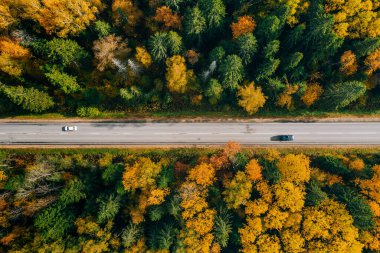 Sonbahar ormanı boyunca renkli yapraklarla arabalı havadan yol manzarası.