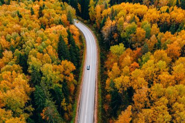 Sonbahar ormanı boyunca renkli yapraklarla arabalı havadan yol manzarası.
