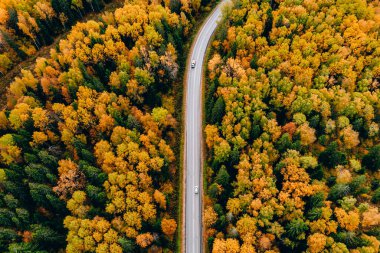 Sonbahar ormanı boyunca renkli yapraklarla arabalı havadan yol manzarası.