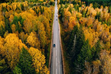 Sonbahar ormanı boyunca renkli yapraklarla arabalı havadan yol manzarası.
