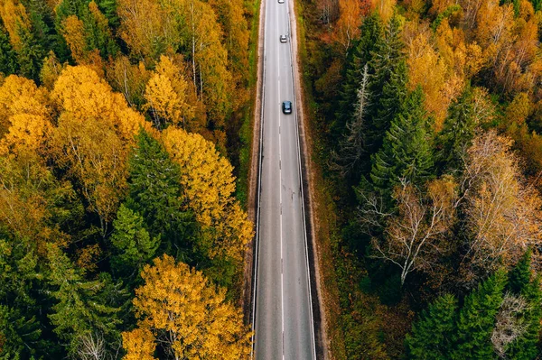 Sonbahar Ormanı Boyunca Renkli Yapraklarla Arabalı Havadan Yol Manzarası — Stok fotoğraf