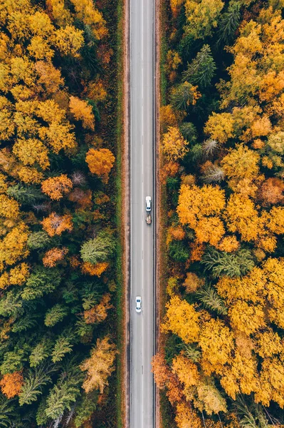 Letecký Pohled Shora Silnici Autem Podzimním Lesem Barevnými Listy Stock Snímky