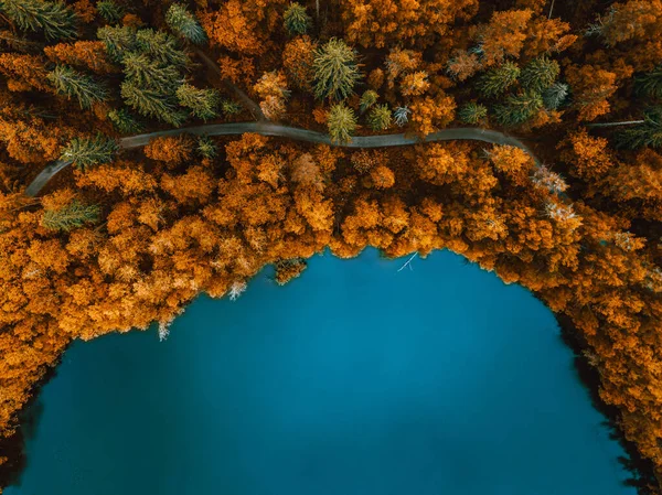 Luftaufnahme Der Landstraße Herbst Herbst Wald Und Blauer See Ländliche Stockfoto