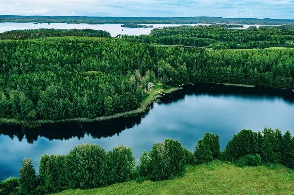 Widok Lotu Ptaka Błękitne Jeziora Zielone Lasy Słoneczny Letni Dzień Obrazek Stockowy