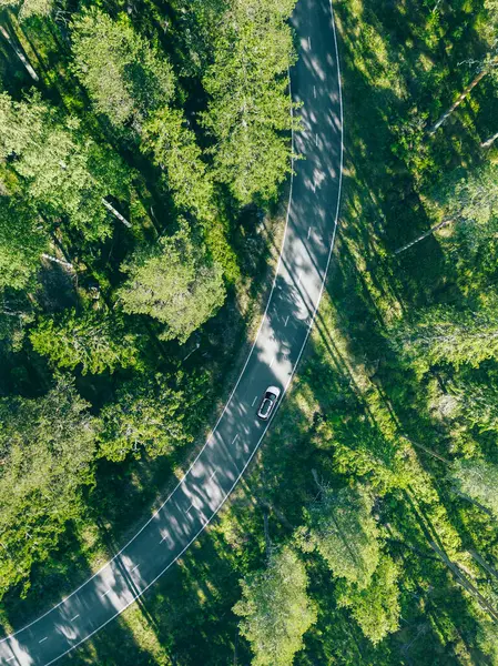 フィンランドの田舎道と緑の森に屋根ラック付きの車の空中ビュー ストックフォト