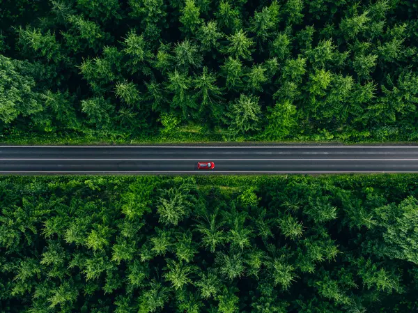 Вид Воздуха Автомобиль Багажником Крыше Проселочной Дороге Зеленые Леса Летом Стоковое Изображение
