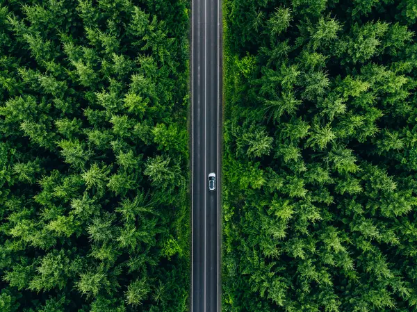 芬兰夏季乡村道路上有车架和绿林的空中景观 免版税图库照片