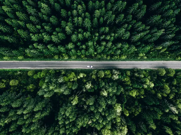 Aerial View Green Summer Forest Asphalt Road Car Road Trip Stock Picture