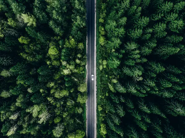 Вид Повітря Зелений Літній Ліс Асфальтована Дорога Автомобілем Подорож Дорогою Стокове Фото