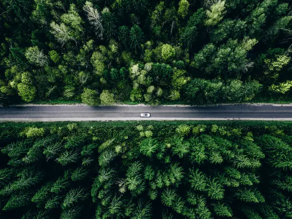 Αεροφωτογραφία Πράσινο Καλοκαίρι Δάσος Και Άσφαλτο Δρόμο Αυτοκίνητο Οδικό Ταξίδι Εικόνα Αρχείου
