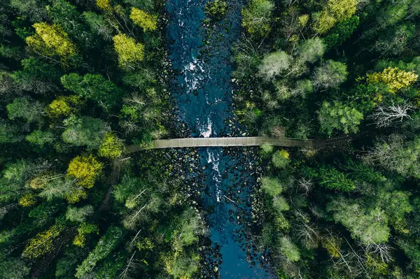 Letecký Pohled Rychlý Tok Řeky Skalami Zeleným Lesem Jaro Finsku Stock Fotografie
