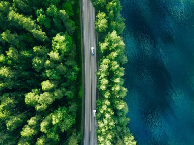 Yazın Finlandiya 'da yeşil ağaç ormanı ile mavi göl deniz suyu arasındaki hava manzarası