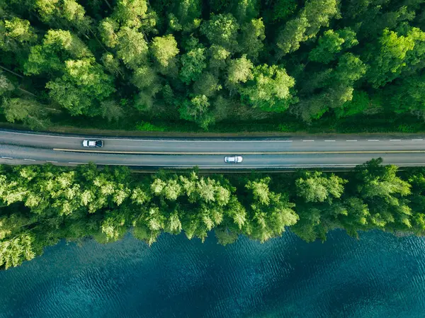 Aerial View Road Green Tree Forest Blue Lake Sea Water Royalty Free Stock Images