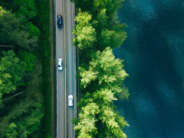 Αεροφωτογραφία Του Δρόμου Μεταξύ Πράσινου Δάσους Δένδρων Και Γαλάζιου Νερού Φωτογραφία Αρχείου