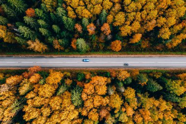 Finlandiya 'nın kırsal kesimlerinde asfalt yol, arabalar ve renkli sonbahar ormanı manzarası.