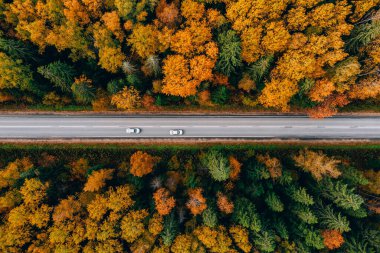 Finlandiya 'nın kırsal kesimlerinde asfalt yol, arabalar ve renkli sonbahar ormanı manzarası.