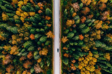 Finlandiya kırsalında asfalt yolu, siyah araba ve renkli sonbahar ormanı manzarası.