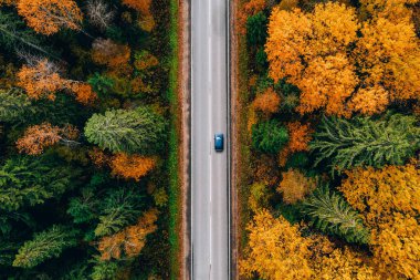 Finlandiya kırsalında asfalt yolu, mavi araba ve renkli sonbahar ormanı manzarası.
