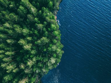Finlandiya 'da mavi su gölü ve yeşil yaz ormanlarının insansız hava aracı görüntüsü.