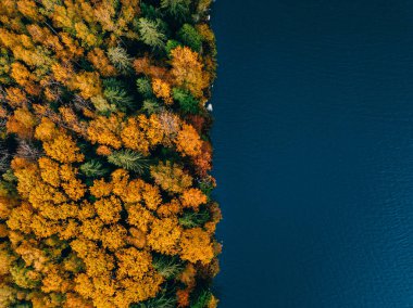 Finlandiya 'da mavi su gölü ve sonbahar renk ormanlarının hava aracı görüntüsü.