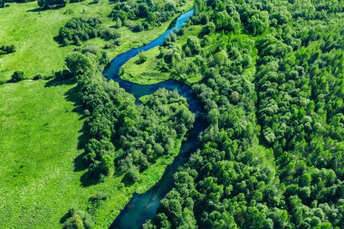 Mavi kıvrımlı nehir ve yeşil yaz ormanlarının hava aracı görüntüsü
