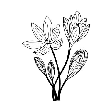 Kusursuz çiçek deseni. Vektör hisse senedi illüstrasyonu E10.