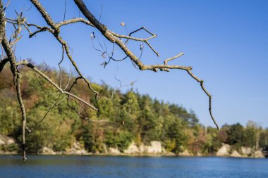 Açık mavi bir gökyüzünün arka planında ağaçlarla dolu bir göl.