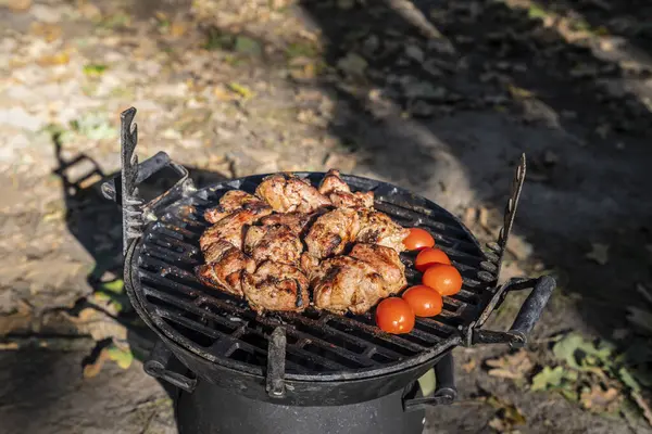 Carne Alla Griglia Con Verdure Barbecue Picnic — Foto Stock
