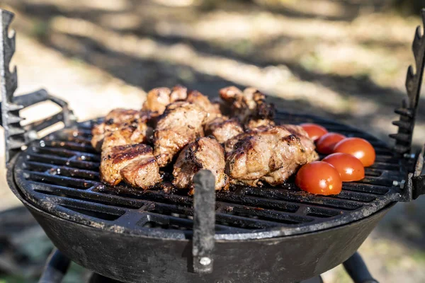 Gegrild Vlees Met Groenten Barbecue Een Picknick — Stockfoto