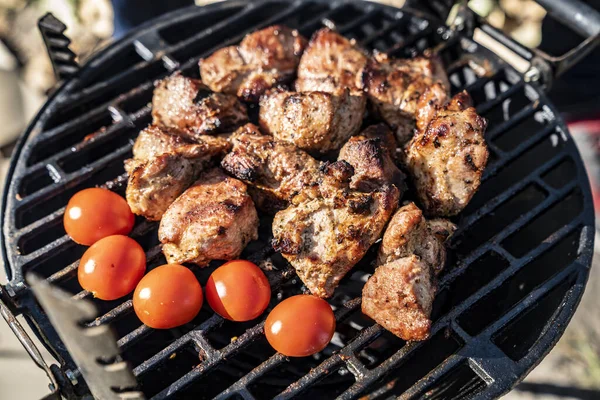 Carne Alla Griglia Con Verdure Barbecue Picnic — Foto Stock
