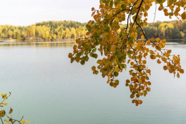 Ormanda renkli ağaçlar ve göl olan sonbahar manzarası.