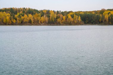 Sonbahar ormanı. Sarı yapraklı dallar, mavi gölet, göl.