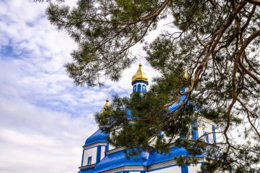 Çam dalları, mavi banyolu bir Ortodoks kilisesi. Güneşli bir gün.