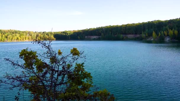 Jezioro Zbiornik Wodny Jesienny Las Śpiący Dzień — Wideo stockowe