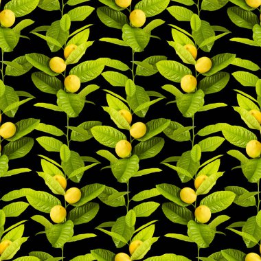 Limon yaprakları ve meyvelerin pürüzsüz deseni.