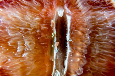 Taze greyfurt, yakından bak.