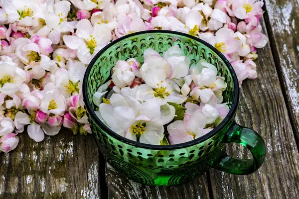 木のテーブルの春のりんごの花そして緑のコップとのコンポジット ロイヤリティフリーのストック写真