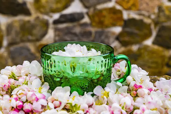 春の花と緑のガラスカップとの組成 ロイヤリティフリーのストック写真